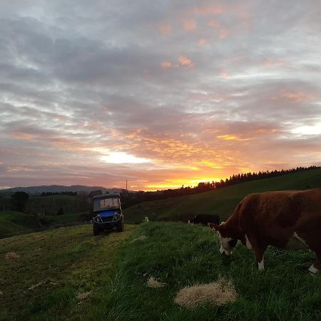 Above The River Karapiro Bed & Breakfast Bagian luar foto