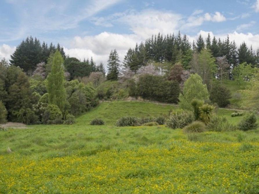Above The River Karapiro Bed & Breakfast Bagian luar foto
